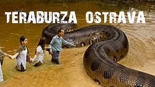 TERABURZA OSTRAVA - FAUNA TRHY