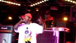 Артем Пугач фигачит с Public Enemy