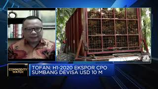 GAPKI Optimistis Sumbangan Devisa Sawit 2020 Capai USD 20 M