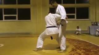 Ushiro goshi. 5а техніка з ката кидків через стегно. Bushinkan Ju-Jutsu