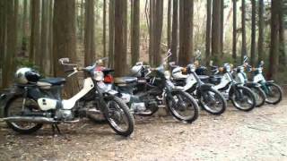 スーパーカブで林道走行 ~DirtCub Style~I Go to the　woodland　path　Honda Super cub.