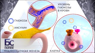 Сахар | Большой скачок