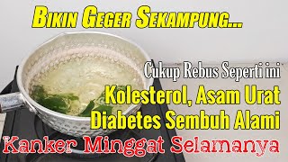 SETELAH NONTON VIDEO INI, ANDA AKAN MENANAM TANAMAN INI DAN MEMBUATNYA SEBAGAI APOTEK PRIBADI