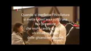 Philippe Karl: gli effetti negativi dell' LDR (Long, Deep and Round) sottotitoli in italiano