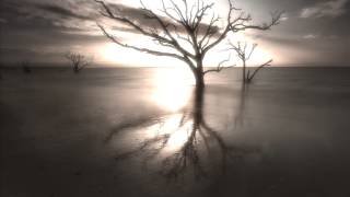 Dryft - These Walls