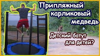 После тайфуна Гони #7 (Финал) - Припляжный карликовый медведь. Батут