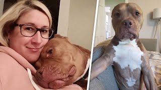 Woman brings home a dog. But apparently he'd rather be human.