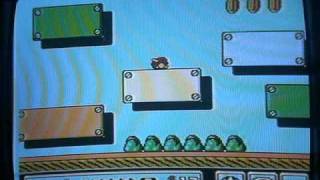 Mario 3: how to get a warp whistle on level 1-3