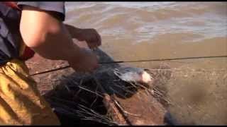 Cooperativa de Pescadores de Fray Bentos