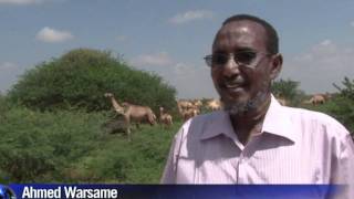 Somali famers begin road to recovery