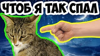 КОТЁНОК СПИТ | ЧТО-ТО ПОШЛО НЕ ТАК | СМЕШНАЯ ОЗВУЧКА ЖИВОТНЫХ 7+