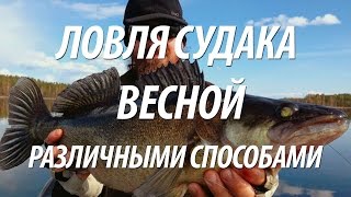 ЛОВЛЯ СУДАКА ВЕСНОЙ РАЗЛИЧНЫМИ СПОСОБАМИ. ВЕСЕННЯЯ РЫБАЛКА В ИСПАНИИ