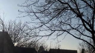 Januarsko sunčano jutro