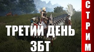 СТРИМ Black Desert - Третий день финального ЗБТ