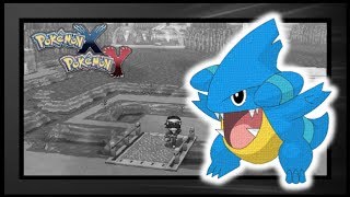(FoYT) LIVE! Shiny Gible after 956 REs in PKMN Y!!!