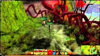Guild Wars 2 Heldenpunkt Glencar Gipfelchen