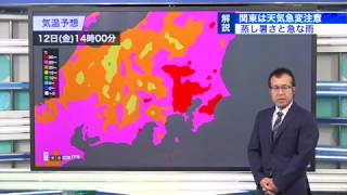 関東は蒸し暑さと急な雨に注意