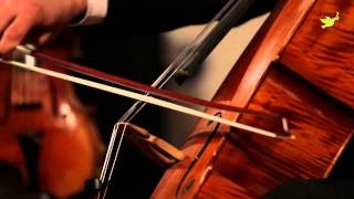 Artiom Shishkov, Alexander Ramm, Maria Nemtsova - Beethoven. Triple Concerto in C Major