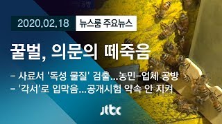 [뉴스룸 모아보기] 1억 마리 꿀벌 떼죽음…누구의 잘못인가? / JTBC News