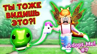 Обновление АДОПТ МИ? Не Пропусти! Мебель Декор Игрушки Питомцы в Adopt Me! Удочери Меня Роблокс?