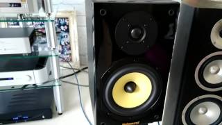 Nobsound NS2000(4)