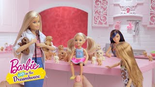 Pentuvyöry | Barbie LIVE! In The Dreamhouse | Barbie