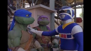 Power Rangers Meet The Teenage Mutant Ninja Turtles | Crossover