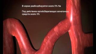 Диуретики