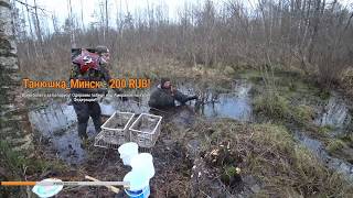 Раскопки по второй мировой Чудовище напало на Копателей ! Металлоискатель и поисковый магнит
