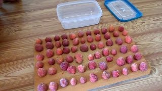 как заморозить ягоду "по-правильному"