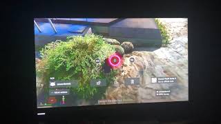 GTA V Mystery bunker???