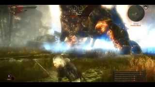 witcher2 Keyran boss HQ. Ведьмак 2 Кейран Бос.