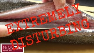 WARNING!! TAPEWORM SUSHI! Would You Eat This?
