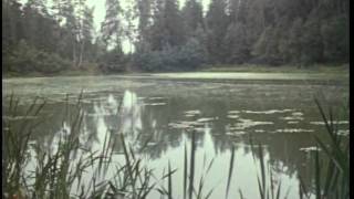 Сергей Прокофьев. Русские народные песни