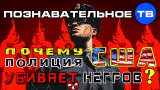 Почему полиция США убивает негров? (Познавательное ТВ, Артём Войтенков)