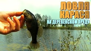Бешеный клёв КАРАСЯ в деревенском пруду! СНЕЖНЫЙ МАЙ! (Часть №1)