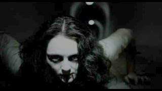 СИМУЛЯТОР МОХНАТКИ о(◕ᴥ◕)o - Cellar Door