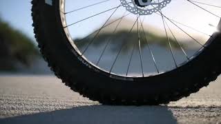 Silverback E-Bike | Anyone's Adventure | Teaser 1