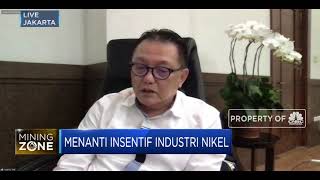 Stafsus Menteri ESDM Soal Sanksi Bagi Pelanggar HPM Nikel