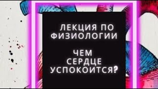 Чем сердце успокоится? | Алексей Сивухин