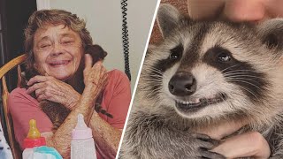Grandma becomes best friend with raccoon
