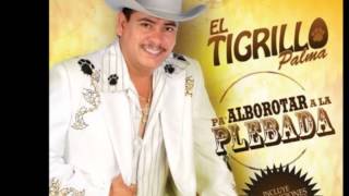 El Tigrillo Palma POBRE RICO