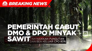 Pemerintah cabut Kebijakan DMO & DPO Minyak Sawit
