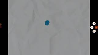 Цветы анонсы карусель лето