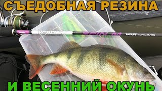 Съедобная резина и весенний окунь : Практика ловли с Валерием Сикиржицким