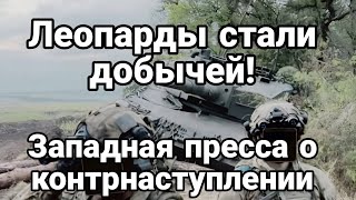 Леопарды 0ПЯТЬ ВЛИПЛИ!