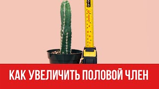 Как увеличить половой член || Юрий Прокопенко 18+