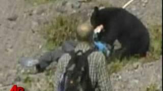 Raw Video: Bear Attacks Tourists in Japan