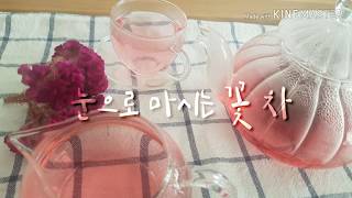 맨드라미꽃차(Mandrami flower tea)