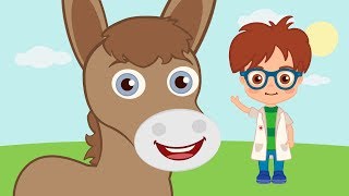 A Mi Burro ♫ Canciones Infantiles ♫ HD